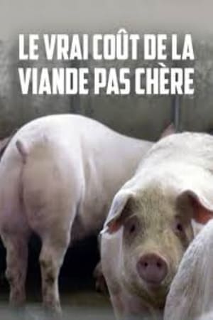 Poster Le vrai coût de la viande pas chère (2017)