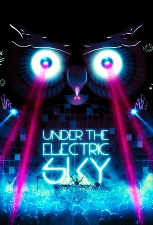 Poster Under the Electric Sky 2014