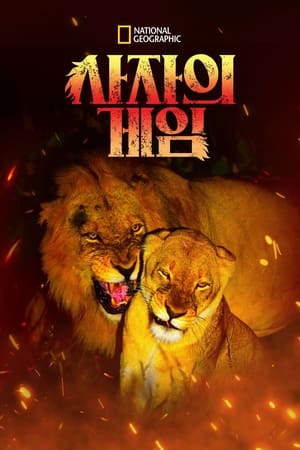 Poster Game of Lions 2013