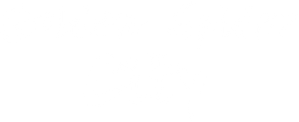 Cidade da Aranha Dourada — Logos 1