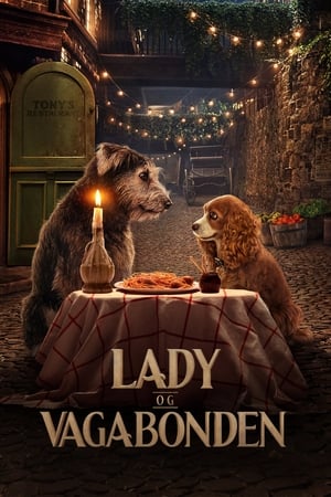 Poster Lady og Vagabonden 2019