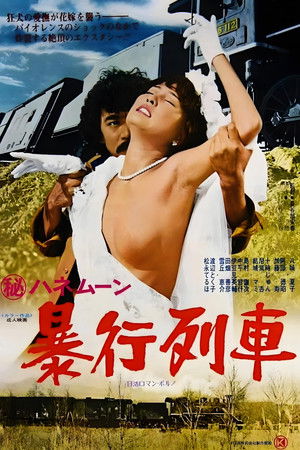 허니문 폭행 열차 (1977)