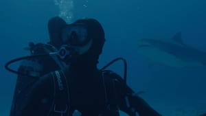 Requin film complet