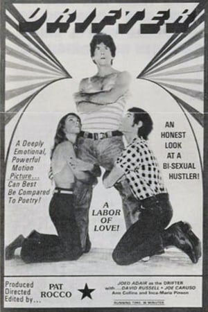 Poster Drifter (1975)