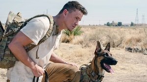 Dog. Un viaje salvaje Película Completa HD 1080p [MEGA] [LATINO] 2022