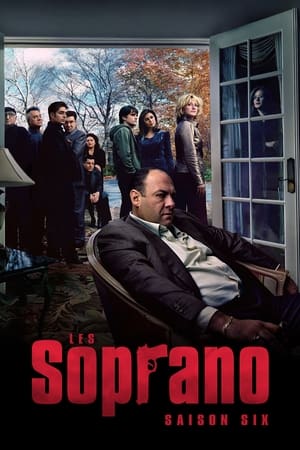 Les Soprano: Saison 6
