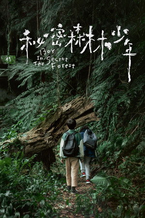 Boy in the Secret Forest 3