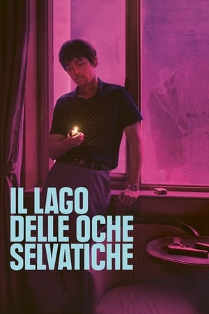 Poster Il lago delle oche selvatiche 2019