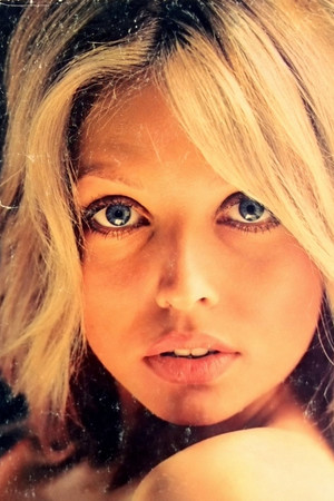 Susan Shaw - Photo