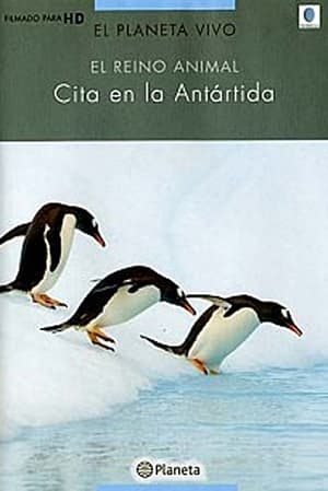 Cita en la Antártida 2004