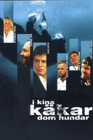 Poster I Kina käkar dom hundar 1999