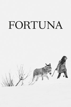 Poster Fortuna 2018