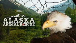 poster Alaska Animal Rescue