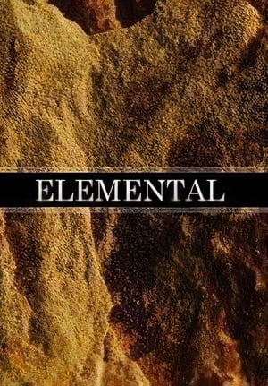 Elemental 2015