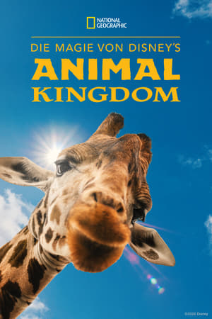Image Die Magie von Disney's Animal Kingdom