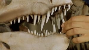 Andy's Dinosaur Adventures Postosuchus and Teeth