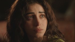 The Assassins: 1×15