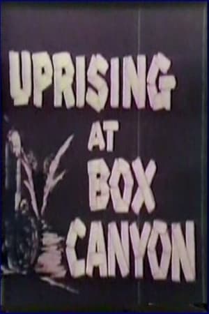Poster Uprising at Box Canyon 1972
