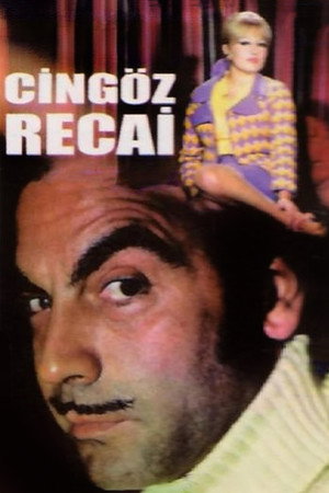 Cingöz Recai 13