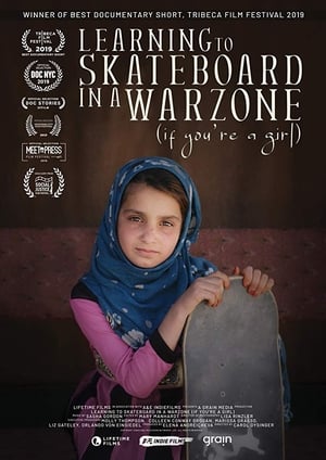 Poster Learning to Skateboard in a Warzone (If You're a Girl) (2020)