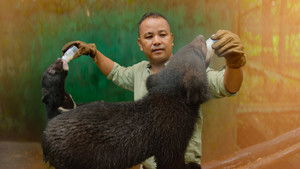 Born to Be Wild: 1×1