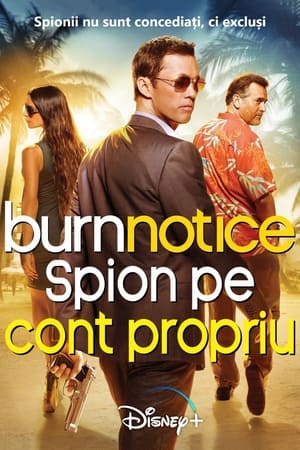 Poster Spion pe cont propriu Sezonul 7 Episodul 5 2013