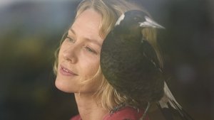 Un Milagro Inesperado (2021) DVDRIP LATINO