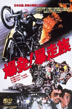 Poster 爆発!暴走族 1975