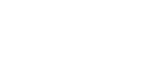 The On1y One