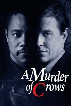 Murder of Crows streaming VF gratuit complet