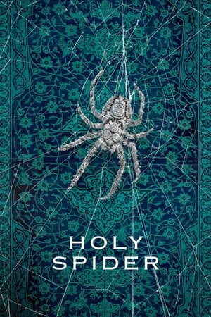 Image Holy Spider