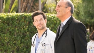 Grey’s Anatomy 15 x Episodio 16