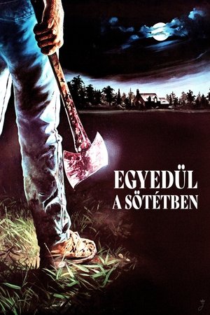 Image Egyedül a sötétben