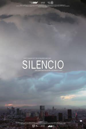 Poster Silencio 2020