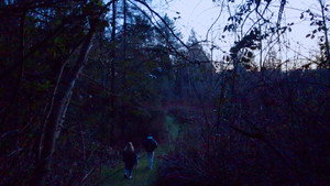 What’s For Dinner?