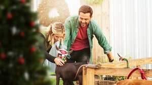 Un ex-fiancé en cadeau