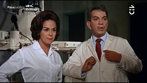 Ver El Señor Doctor (1965) online