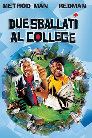 Poster Due sballati al college 2001
