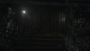 The Shadow