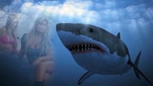 Shark Babes film complet