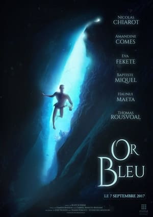 Poster Or Bleu 2017