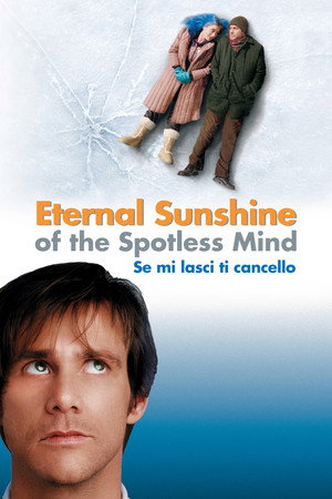 poster Eternal Sunshine of the Spotless Mind