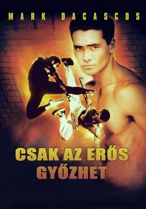 Poster Csak az erős győzhet 1993