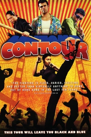Poster Contour (2006)