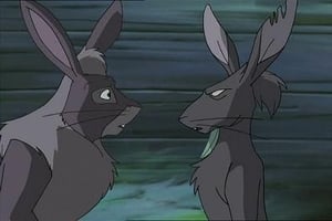 Watership Down The Betrayal