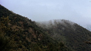 El espíritu de la colmena movie still 32