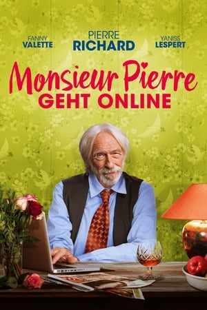 Poster Monsieur Pierre geht online 2017