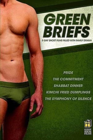 Poster Green Briefs 2013