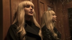 Gorrión rojo (Red Sparrow)