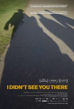 Poster I Didn't See You There 2022